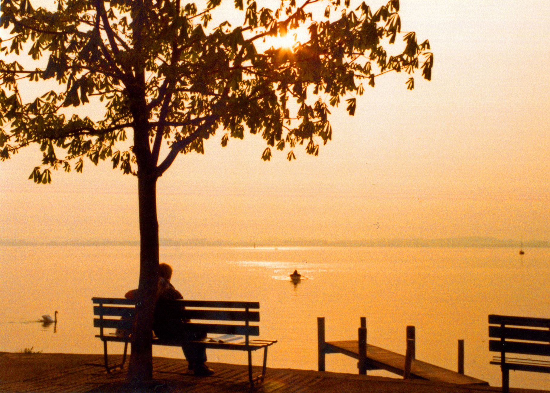 Ein friedlicher Sonnenuntergang mit einer Person, die auf einer Bank am See unter einem Baum sitzt.