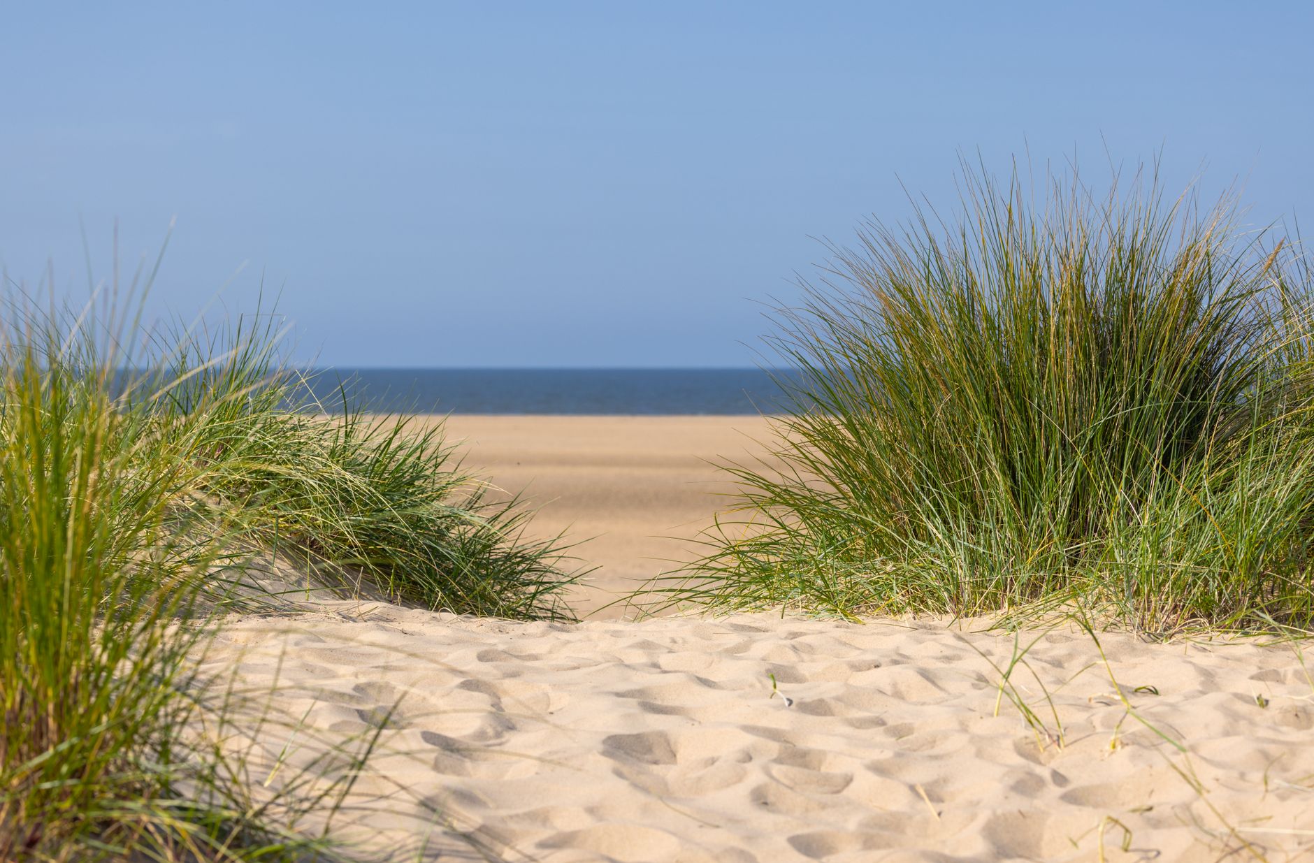 Ruhiger Blick auf einen englischen Strand mit Sanddünen und Gräsern unter einem klaren blauen Himmel.