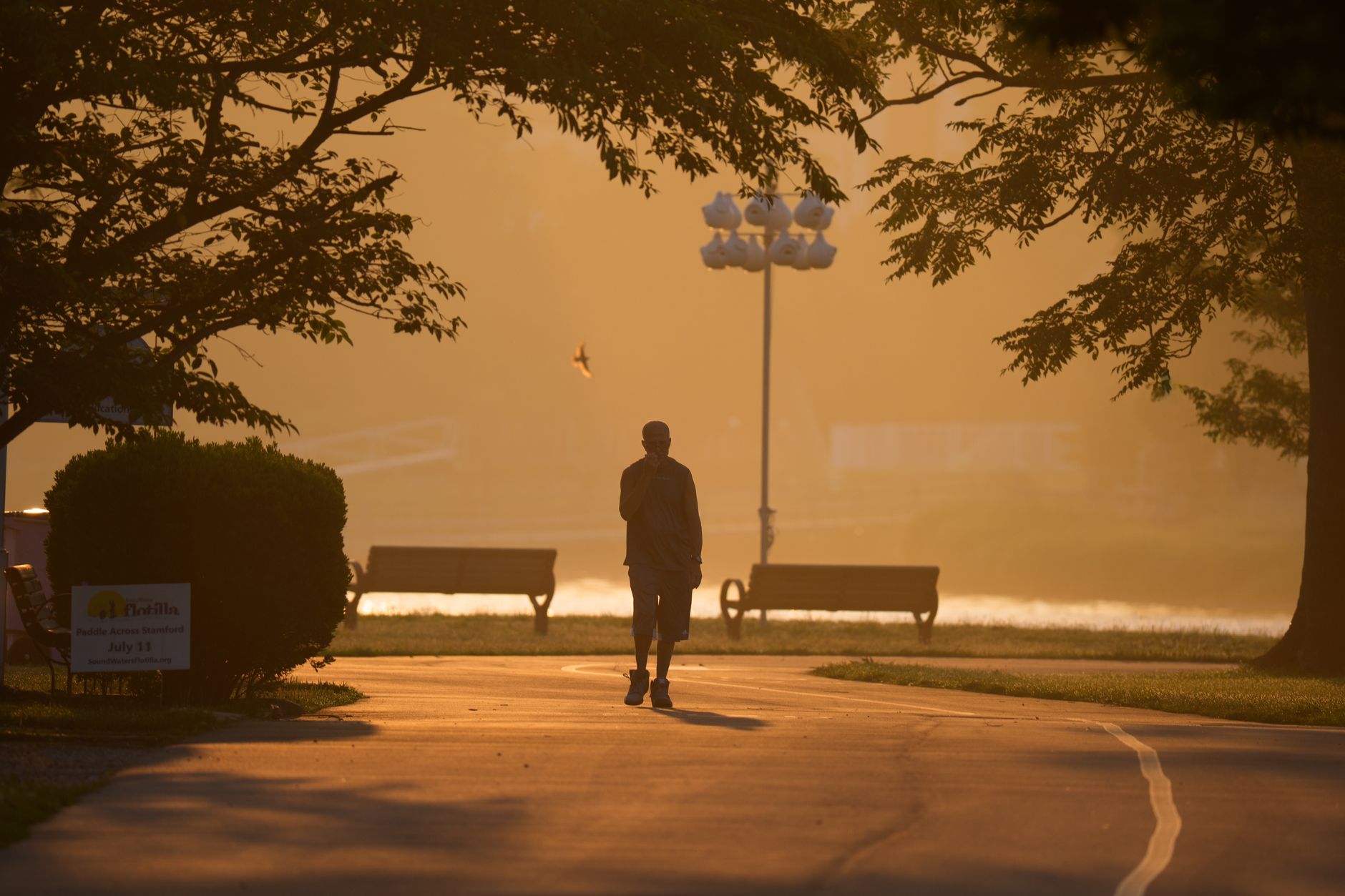 Ein beschaulicher Morgenspaziergang im Morgengrauen im Cove Island Park in Stamford, umgeben von sanftem Sonnenlicht.